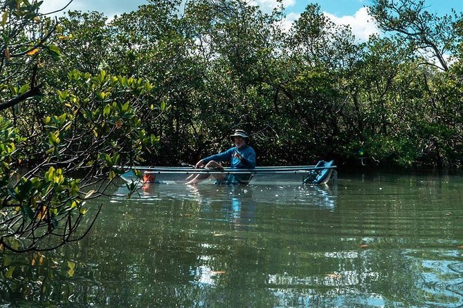 Clear Kayak Tours in Fort Pierce - Equipment and Accessibility on the Tour