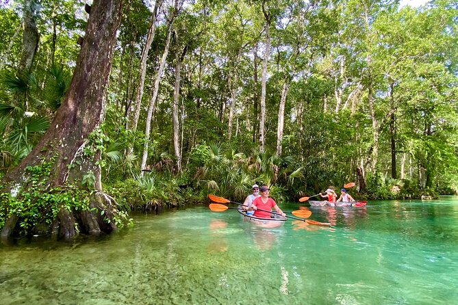 Clear Kayak Tours in Weeki Wachee - Starting Point at Marys Fish Camp for a Scenic Launch