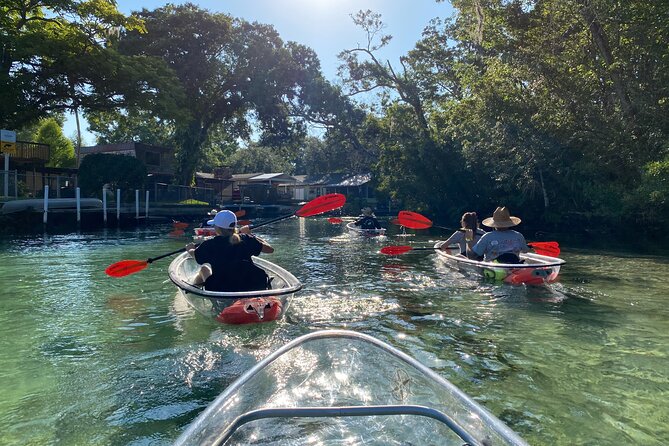 Clear Kayak Tours in Weeki Wachee - Insights from the Experienced Guides
