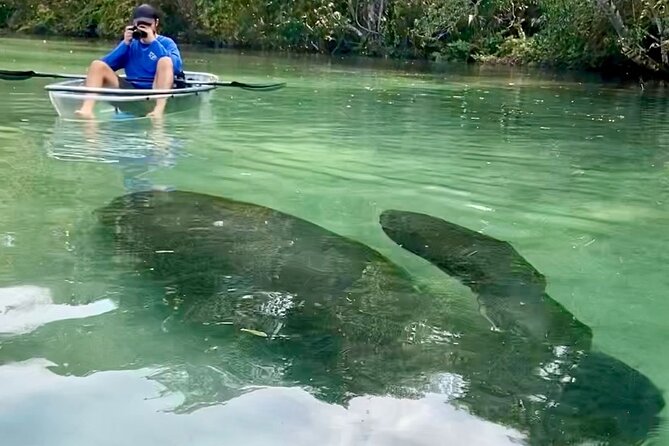 Clear Kayak Tours in Weeki Wachee - Practical Tips for Booking and Participation