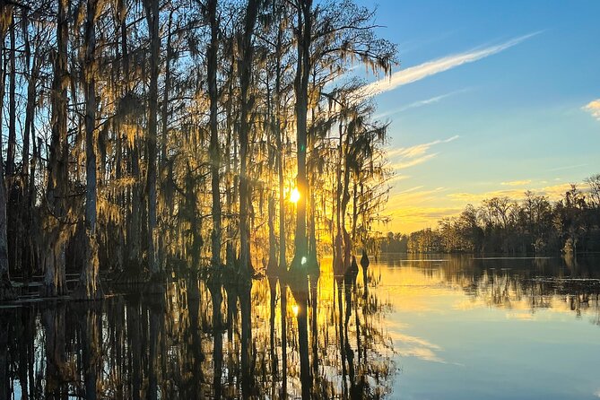 Clear Kayaking Eco Adventure Tour in Marianna - Best Times to Book and Planning Tips