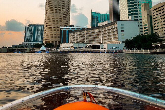 Clear Kayaking Glow Tour in Tampa Riverwalk - Comparing the Tour with Similar Experiences