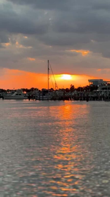 Clearwater Beach: BYOB Evening Cruise with Dolphin Sightings - Scenic Night Views of Clearwater Beach and the Bay