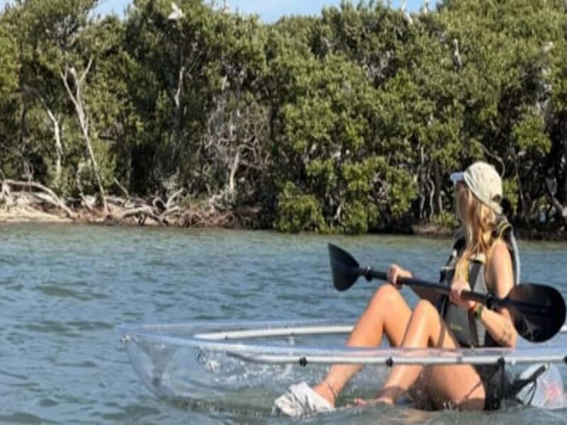 Clearwater Beach: Clear Kayak Tour with an ecotour guide - Explore Clearwaters Bright Turquoise Waters in a Clear Kayak