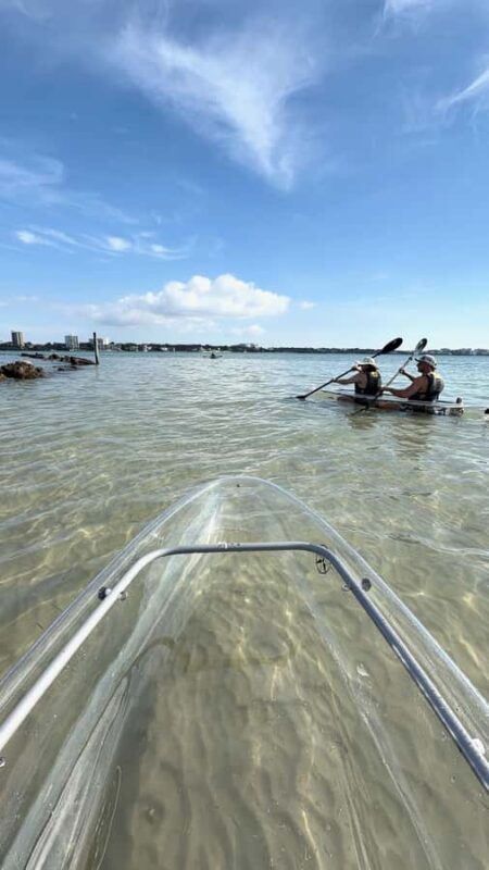 Clearwater Beach: Clear Kayak Tour with an ecotour guide - What the 2-Hour Kayak Itinerary Looks Like