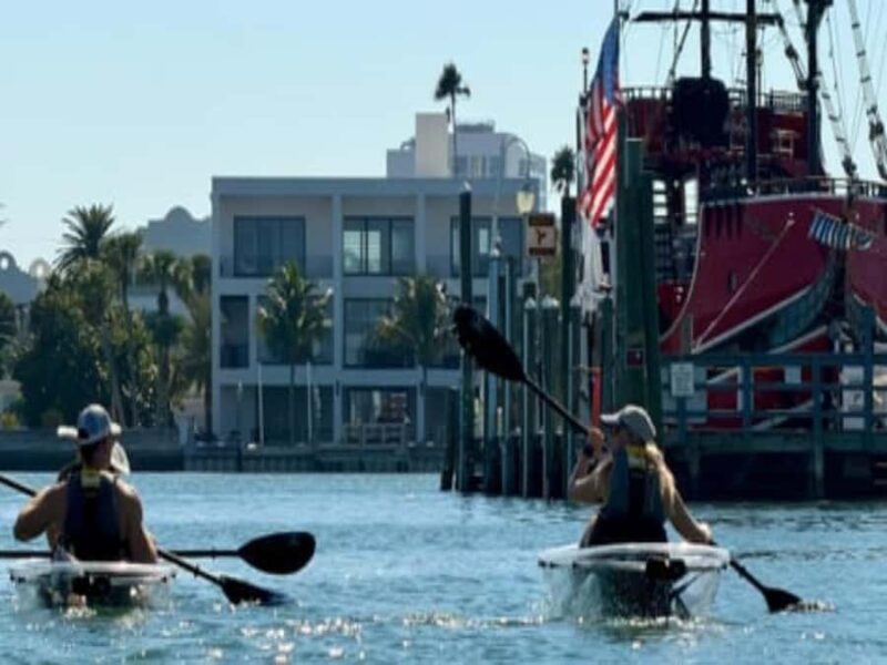 Clearwater Beach: Clear Kayak Tour with an ecotour guide - Wildlife Sightings and Ecosystem Insights from an Ecotour Guide