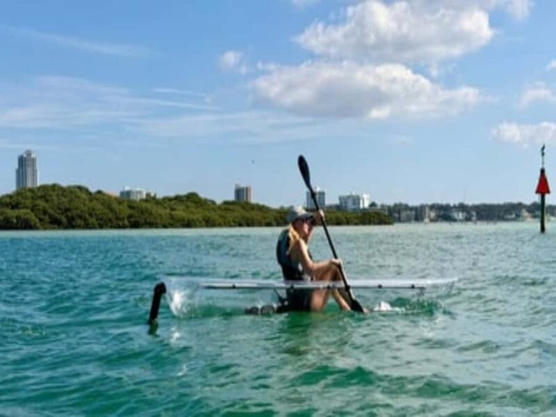 Clearwater Beach: Clear Kayak Tour with an ecotour guide - Exploring the Bird Preserve Island and Bright Blue Waters