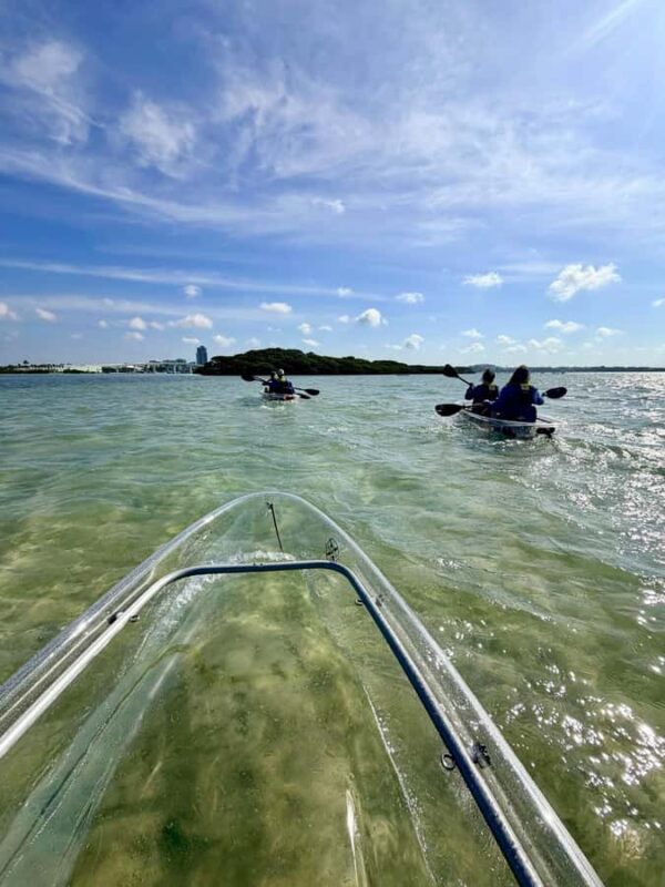 Clearwater Beach: Clear Kayak Tour with an ecotour guide - Why This Tour Offers a Balanced, Eco-Friendly Adventure
