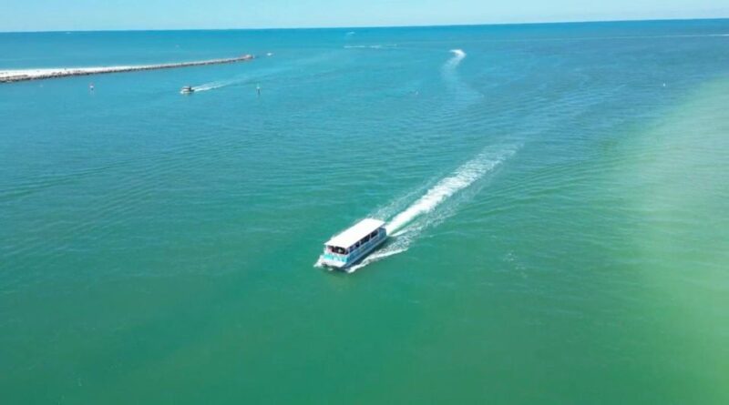 Clearwater Beach: Dolphin & Island Sandbar Cruise - Exciting 2-Hour Dolphin & Sandbar Cruise from Clearwater Beach at Just $28
