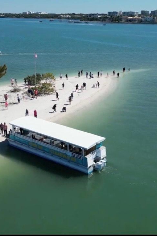 Clearwater Beach: Dolphin & Island Sandbar Cruise - Key Points