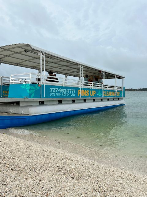 Clearwater Beach: Dolphin & Island Sandbar Cruise - Bring Your Own Drinks and Snacks for a Personal Touch