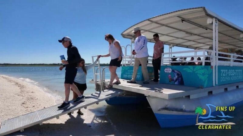 Clearwater Beach: Dolphin & Island Sandbar Cruise - Practical Tips: What to Bring for Comfort and Safety