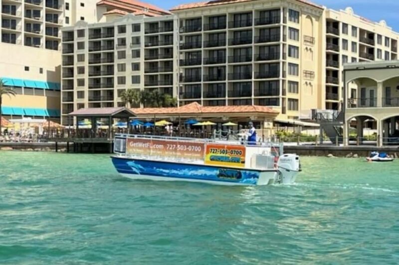 Clearwater Beach: Dolphin-Watching Sunset Cruise - Key Points