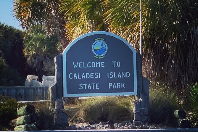 Clearwater Beach Private Pontoon Boat Tours - Discover Wildlife and Marine Life During Your Cruise