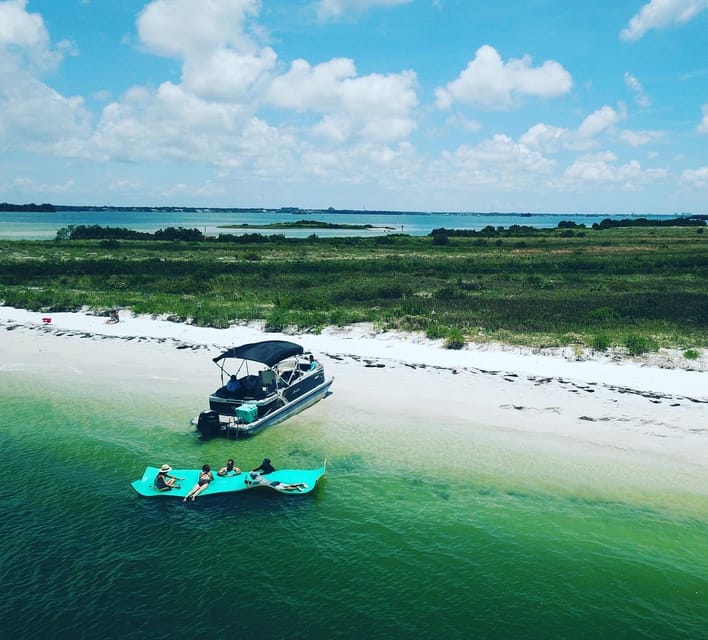 Clearwater Beach: Private Pontoon Tours - Dolphin Watching and Marine Encounters