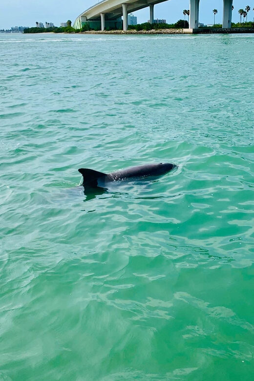 Clearwater Beach: Private Pontoon Tours - Beach and Island Stops: What to Expect