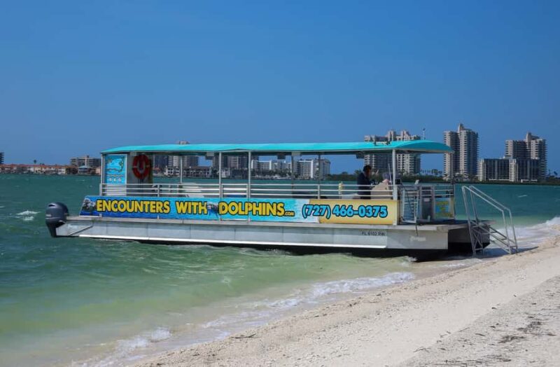 Clearwater: Dolphin Cruise with an Island Adventure - Spotting Dolphins in Clearwater Harbor