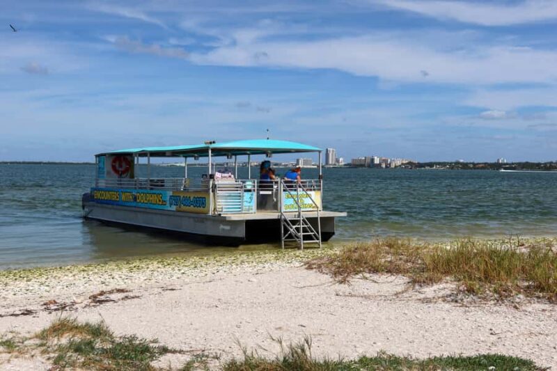 Clearwater: Dolphin Cruise with an Island Adventure - Comparing to Other Clearwater Dolphin Tours