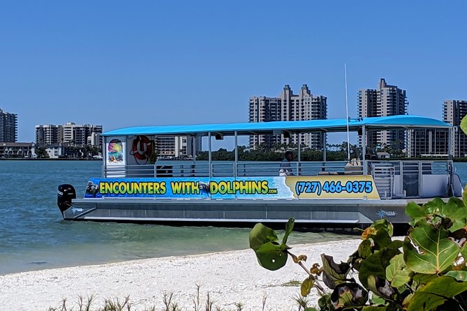 Clearwater Encounters with Dolphins Tour - Departure Point at Clearwater Beach Marina