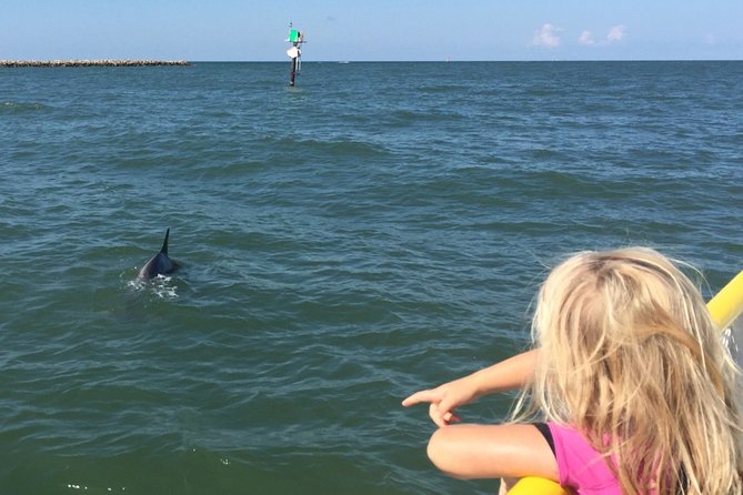 Clearwater Encounters with Dolphins Tour - Compass Island Stop: Shell Collecting and Water Play