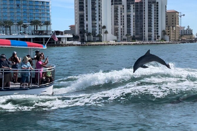 Clearwater Encounters with Dolphins Tour - Practical Tips for Booking and Participation
