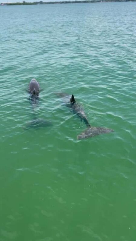 Clearwater: Island Hop and Dolphin Watch Ultimate Boat Tour - Clearwater Bay: The Starting Point for the Cruise