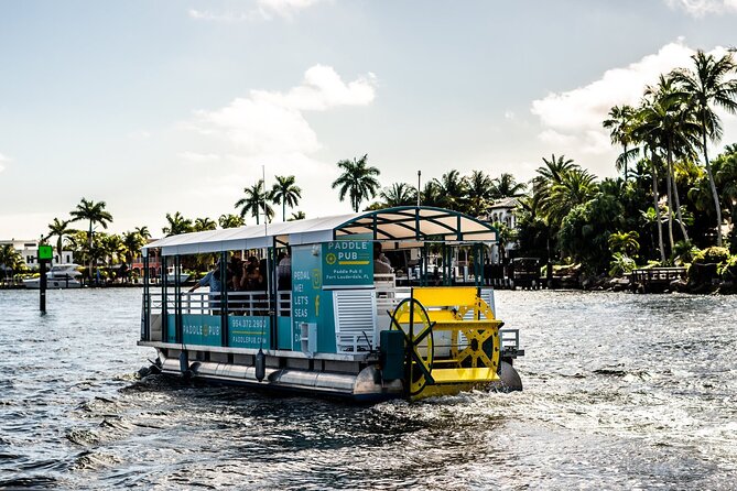 Clearwater Island Hop and Dolphin Watch with Swimming - Pacing and Group Size