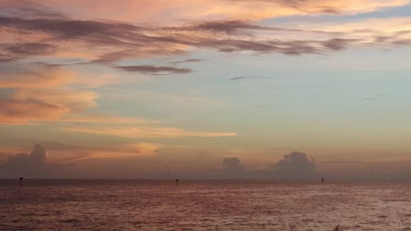 Clearwater: Sunset Celebration Cruise - Experience the Atmosphere of the Sunset Celebration