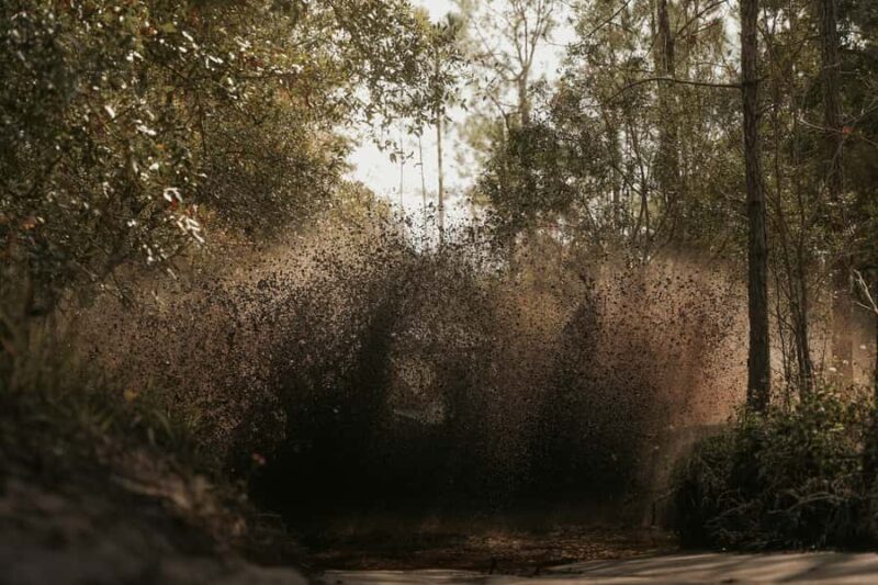 Clermont: Off Road UTV Experience - 1 HR - Key Points