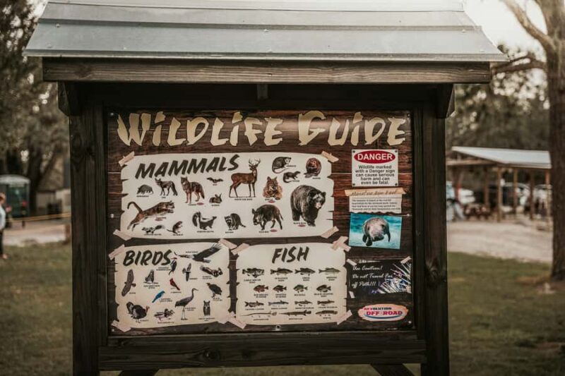Clermont: Off Road UTV Experience - 1 HR - Accessibility and Physical Requirements