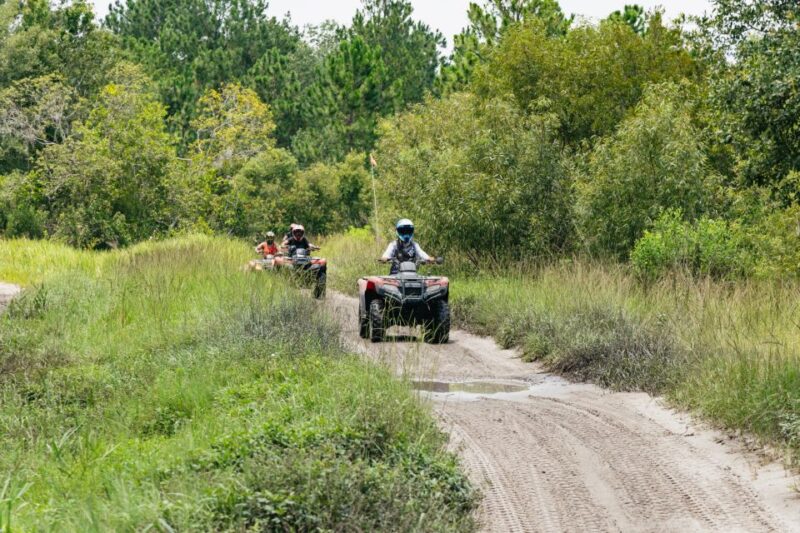 Clermont: Single-seat ATV Quad Bike Adventure - Terrain Diversity: Sand, Mud, and Swamp