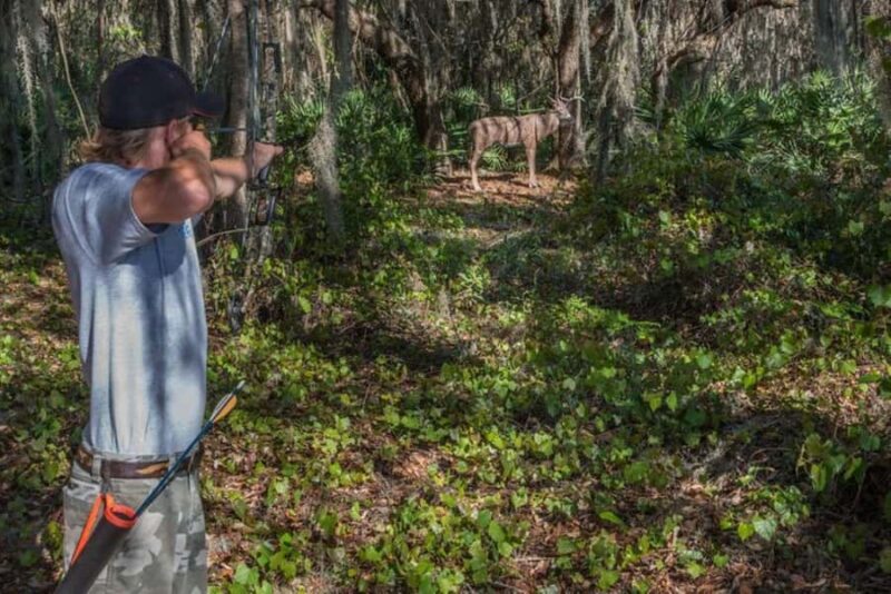 Clermont: Target Archery Experience - Key Points