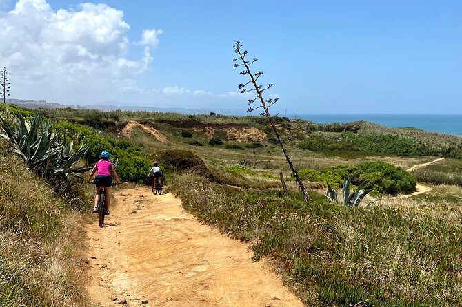 Cliff Top Ride - Discover the Cliff Top Ride in Cascais, Portugal