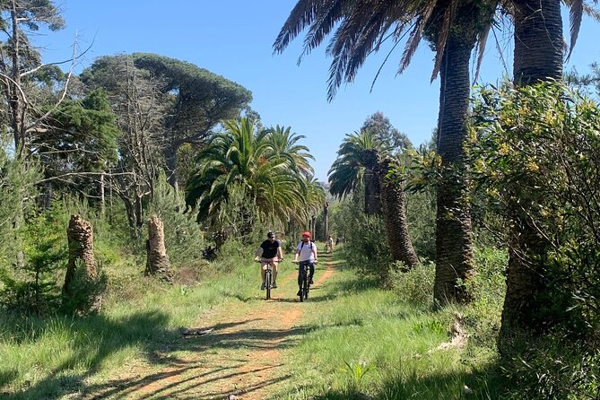 Cliff Top Ride - The Cliff of Ericeira: The Tour’s Pinnacle