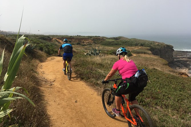 Cliff Top Ride - Physical Requirements and Accessibility