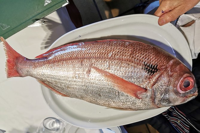 CLIFFS, GRILLED FISH and TXAKOLI WINE - Private Gastronomic Adventure - Authentic Basque Fish Lunch with Charcoal Grills