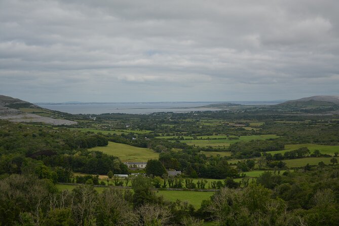 Cliffs of Moher and Burren Private Tour from Galway - Flexibility and Pacing of the Half-Day Trip