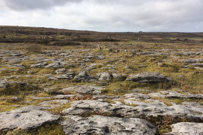 Cliffs of Moher and the Burren Private Tour - Visiting St. Brigids Well and Its Fascinating Stories