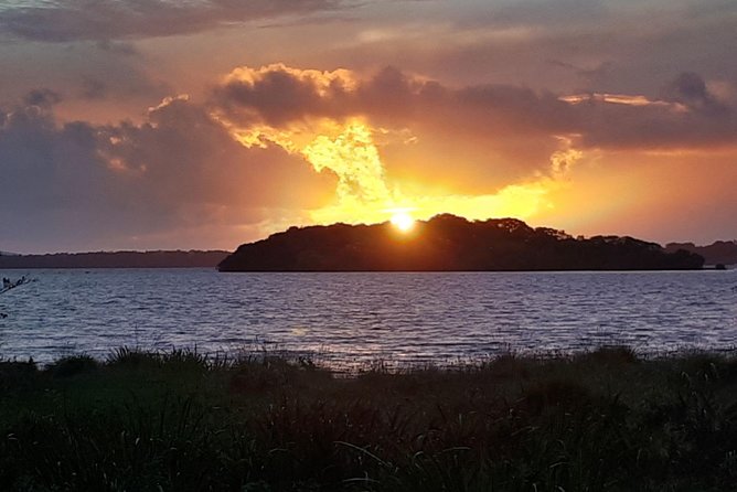 Cliffs of Moher & Bunratty Castle - Private Mini Bus Tour - Customizable Itinerary and Scenic Route Along the Wild Atlantic Way