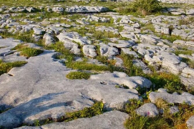 Cliffs of Moher, Burren and Galway 2 Days Private Chauffeur Tour - The Private Chauffeur Experience from Dublin