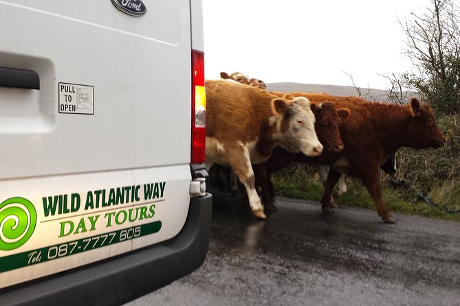 Cliffs of Moher & Burren Day Tour with a 2 hour stop at Cliffs - Practical Details and Booking