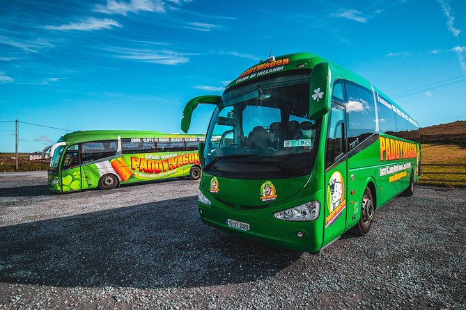 Cliffs of Moher Day Tour from Limerick: Including The Wild Altanic Way - The Cliffs of Moher: Towering Over the Atlantic