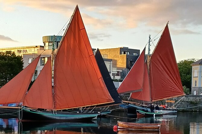 Cliffs Of Moher from Galway Private Tour - Hazel Mountain Chocolates: Ireland’s Bean-to-Bar Factory