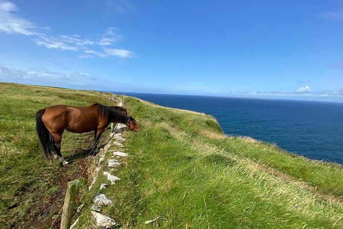 Cliffs of Moher Hiking Tour from Galway - Small Group - Key Points