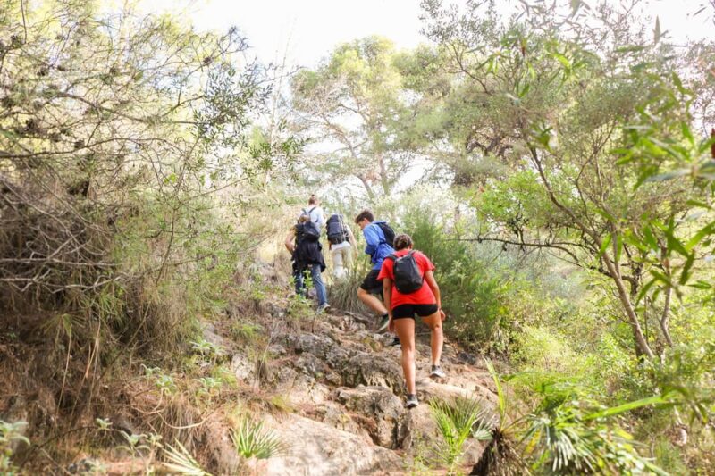 Climb the La Concha: Guided Private Hiking Trip - Key Points