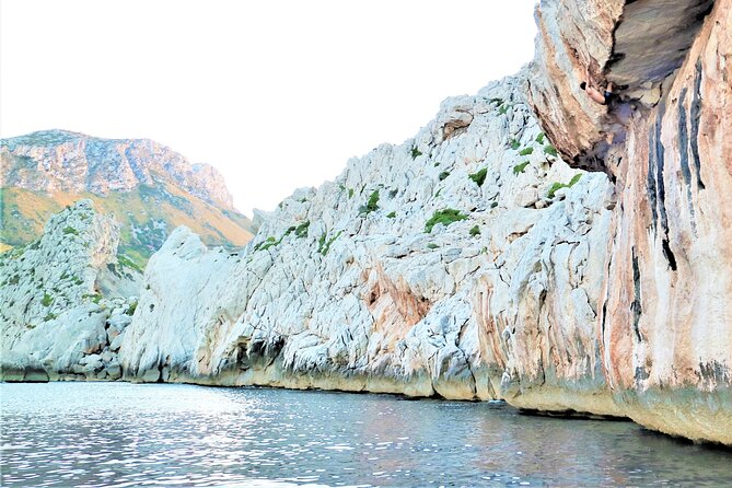 Climbing day in private tour - Discover the Private Climbing Day in Mallorca for All Levels