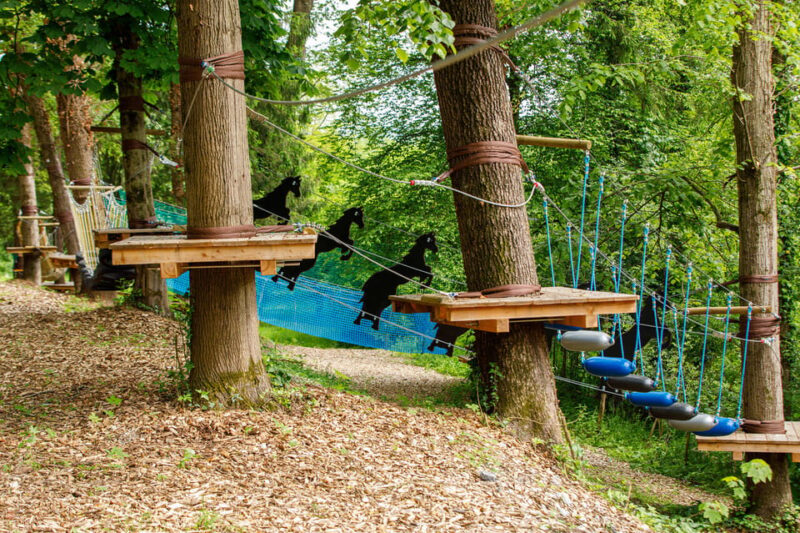 Climbing Park Piber - Who Will Love This Adventure?