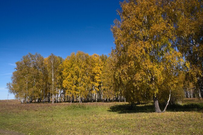 Clingmans Dome Self Guided Walking Audio Tour - The Storytelling Style and App Functionality