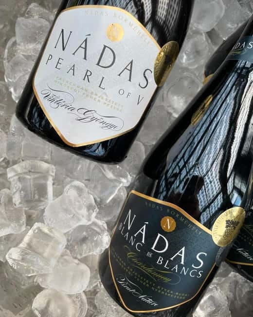 Close to Budapest:Wine Tasting in a Small Cozy Family Winery - Convenient Location and Easy Return