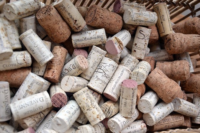 Clotilde Davenne wine and cheese pairing tasting in Chablis - The Duration and Pacing of the Tasting